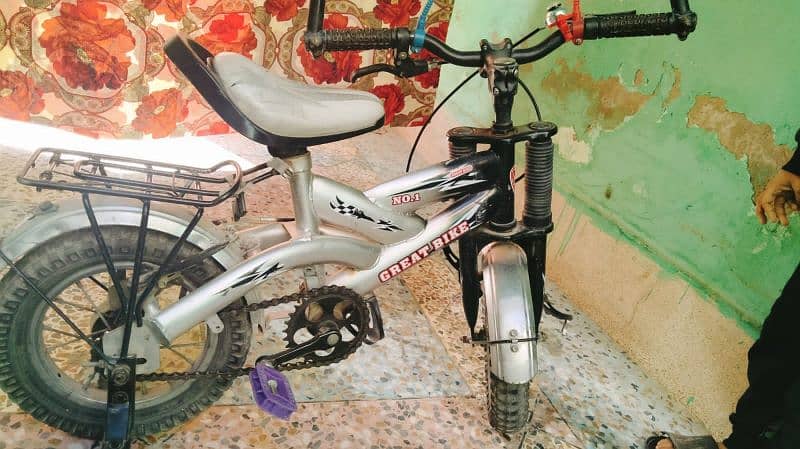 choti or bari irani bicycles 0