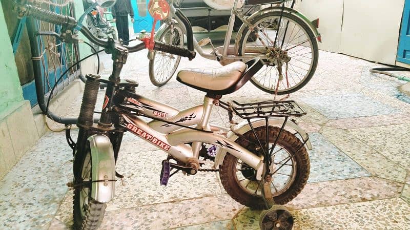 choti or bari irani bicycles 1