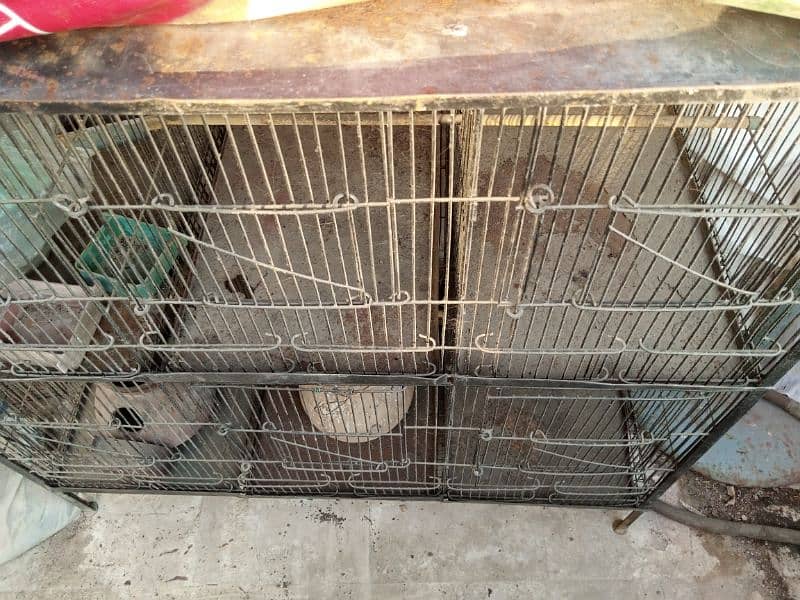 6 portion Cage 1