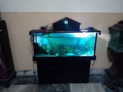 Fish Aquarium with all accessories