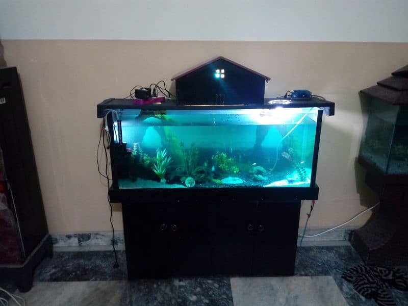 Fish Aquarium with all accessories 0