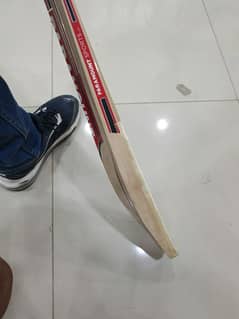 cricket bat