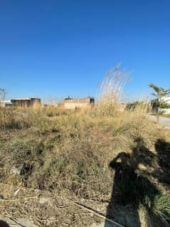 Residential Plot for Sale Zamar Valley