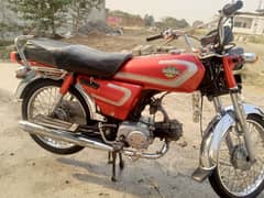 honda 70  2008 . .  03156944193