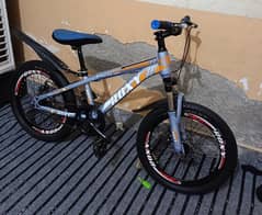 two import bicycle 20size condition 10by10