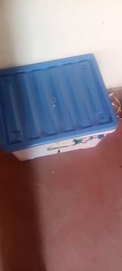 eggs incubator fully automatic a c  d c . for sale