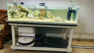 Large Fish Aquarium for sale at low price