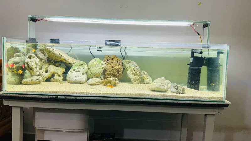 Large Fish Aquarium for sale at low price 1