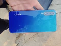 vivo