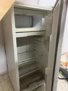 Room Fridge