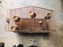 parrot cage