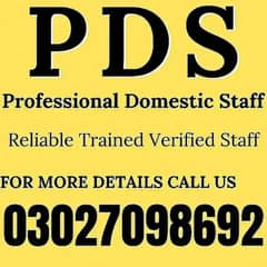 House maids , Maid, Baby Sitter, Chef , Couple , Driver , Patient care