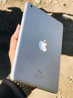 ipad mini 1