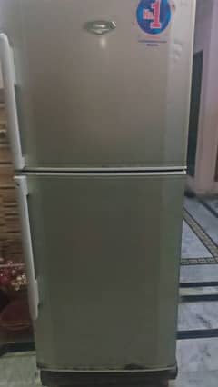 Haier Refrigenrator