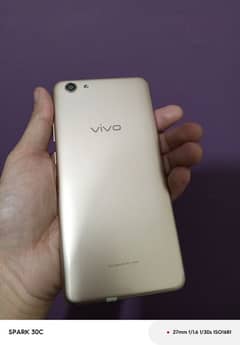 vivo