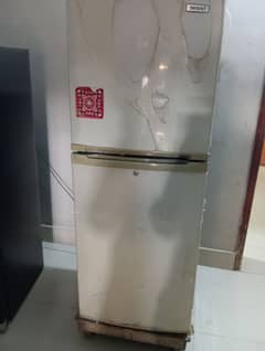 orient fridge