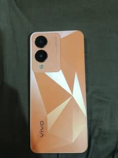 Vivo y17s