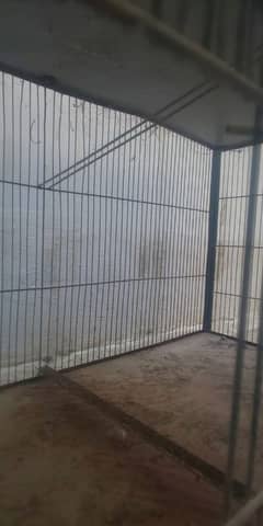 birds cage for sala