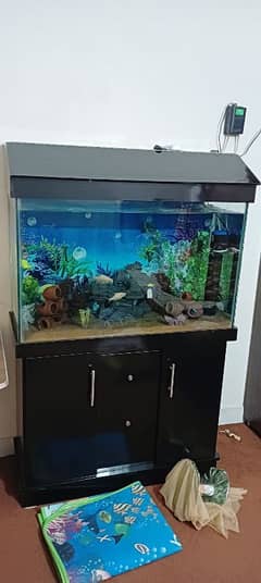 Only 1 month used Aquarium 4 feet