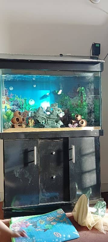 Used Aquarium 3 feet 1