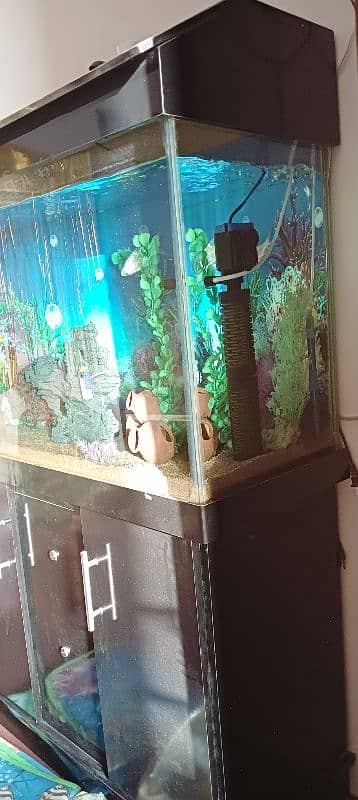 Used Aquarium 3 feet 2