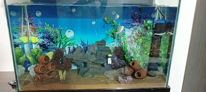 Used Aquarium 3 feet 3