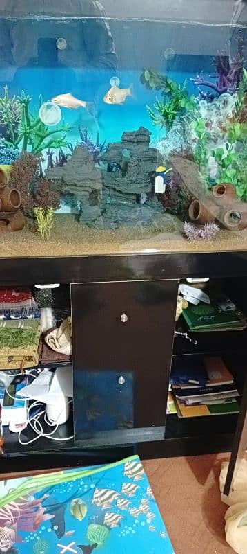 Used Aquarium 3 feet 4