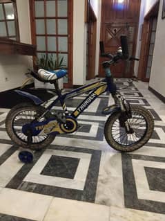 THUNDER BMX bike suitable for  7-9 years old