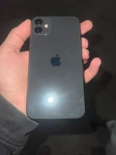 iphone 11 non pata Jv