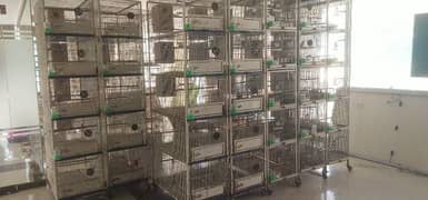 CAGES FOR SALE