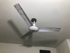 ceiling fans