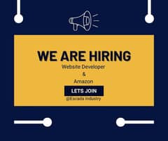 website developmemt SEO(social media and email) & Amazon FBM  job