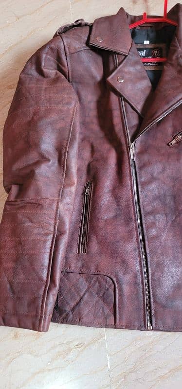 Cow leather jacket 4