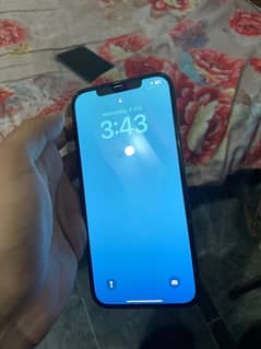 I phone 12 pro max