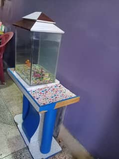 aquarium