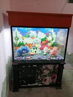 Fish Aquarium