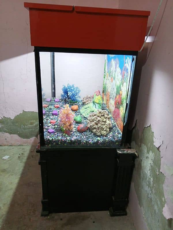 Fish Aquarium 2