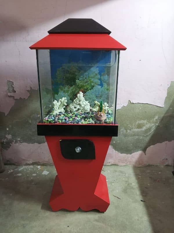 Fish Aquarium 4