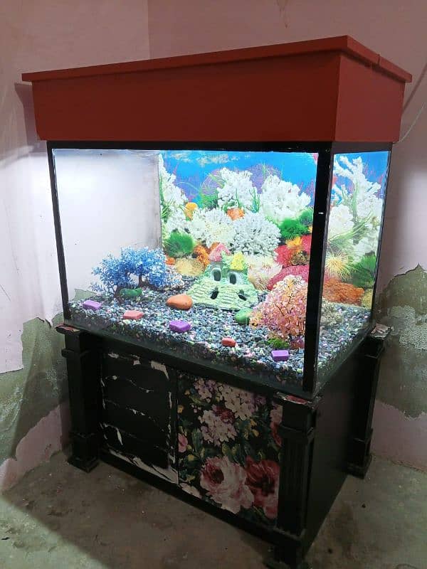 Fish Aquarium 5