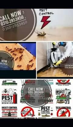 Fumigation spray pest control