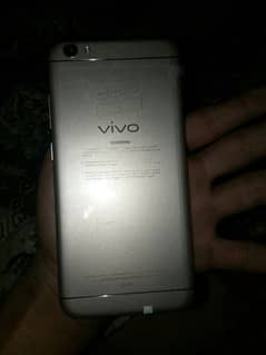 vivo