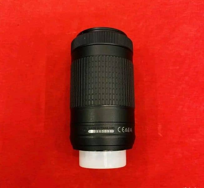 Nikon 70-300mm DX AF-P series | Non VR | Autofocus Work 2