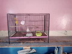 cage for sale 3000