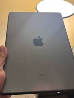 iPad