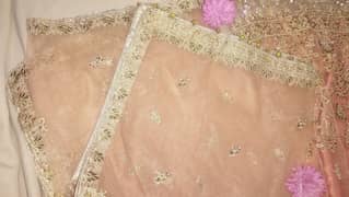 Beautiful Peach colour stitched lahanga dress for Party 2025