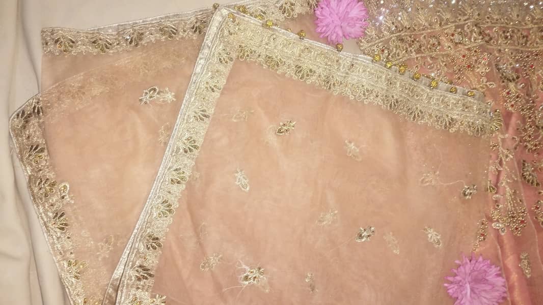 The Allure of Peach:  Beautiful Peach Colour Lehenga Dress 0