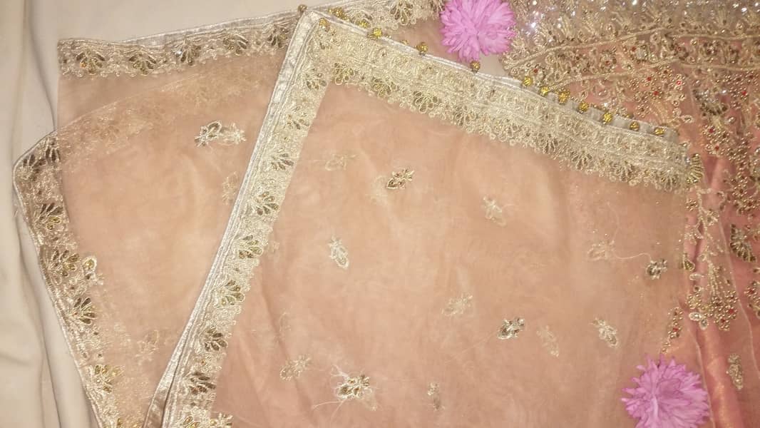 The Allure of Peach:  Beautiful Peach Colour Lehenga Dress 6