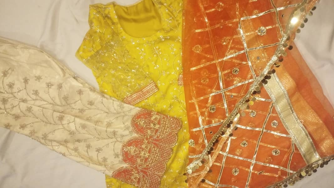 Latest Rajhistani style Ghaznavi collection for girls2025 3