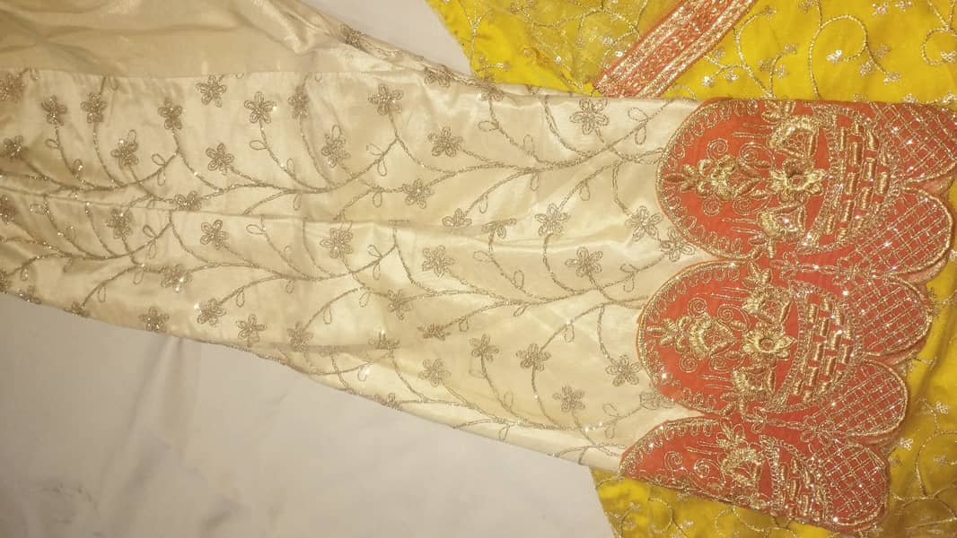 Latest Rajhistani style Ghaznavi collection for girls2025 4