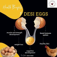 100% Desi Eggs Available